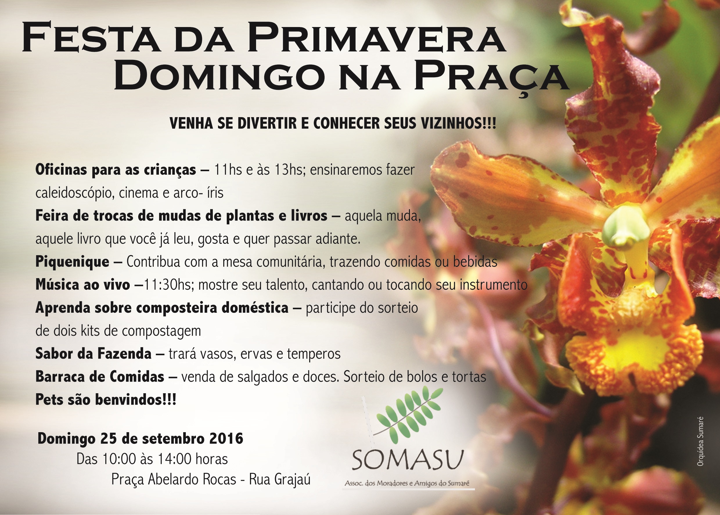 festa